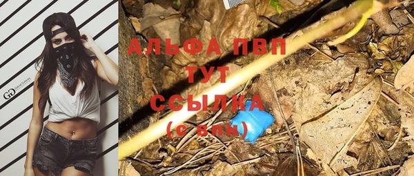 Альфа ПВП Инсар