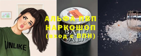 Альфа ПВП Инсар
