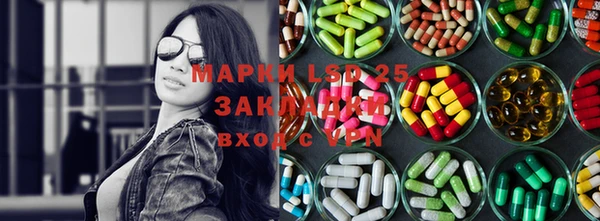 Альфа ПВП Инсар