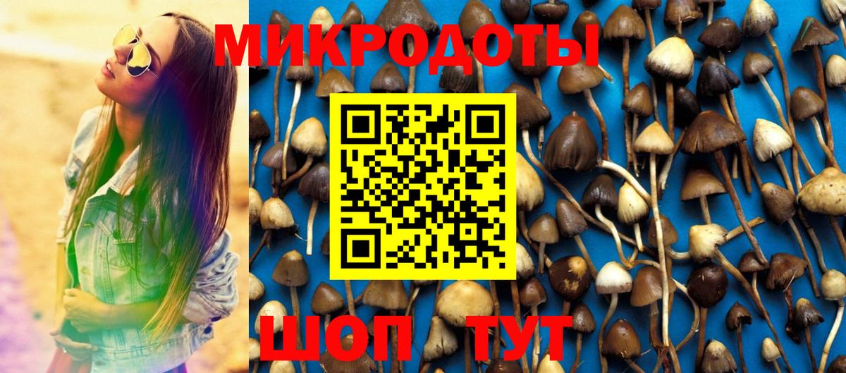 Псилоцибиновые грибы MAGIC MUSHROOMS Камышлов